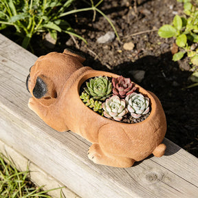 Vaso de Cerâmica Cachorro Pug